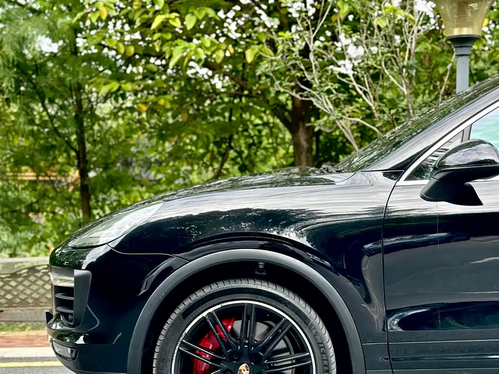 Porsche Cayenne 2015 — фото 8