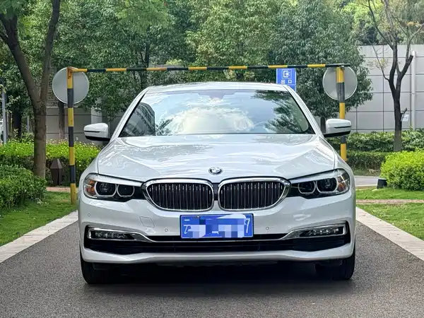 BMW 5 Series 2019