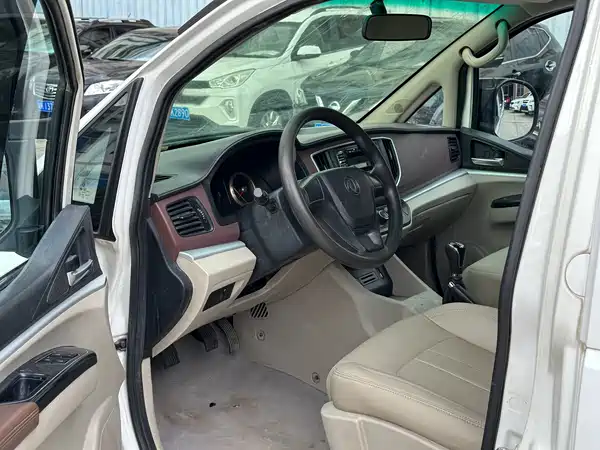 Dongfeng Lingzhi 2019
