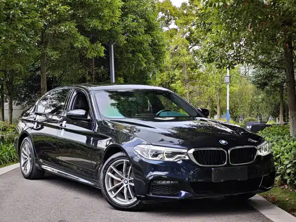BMW 5 Series 2019