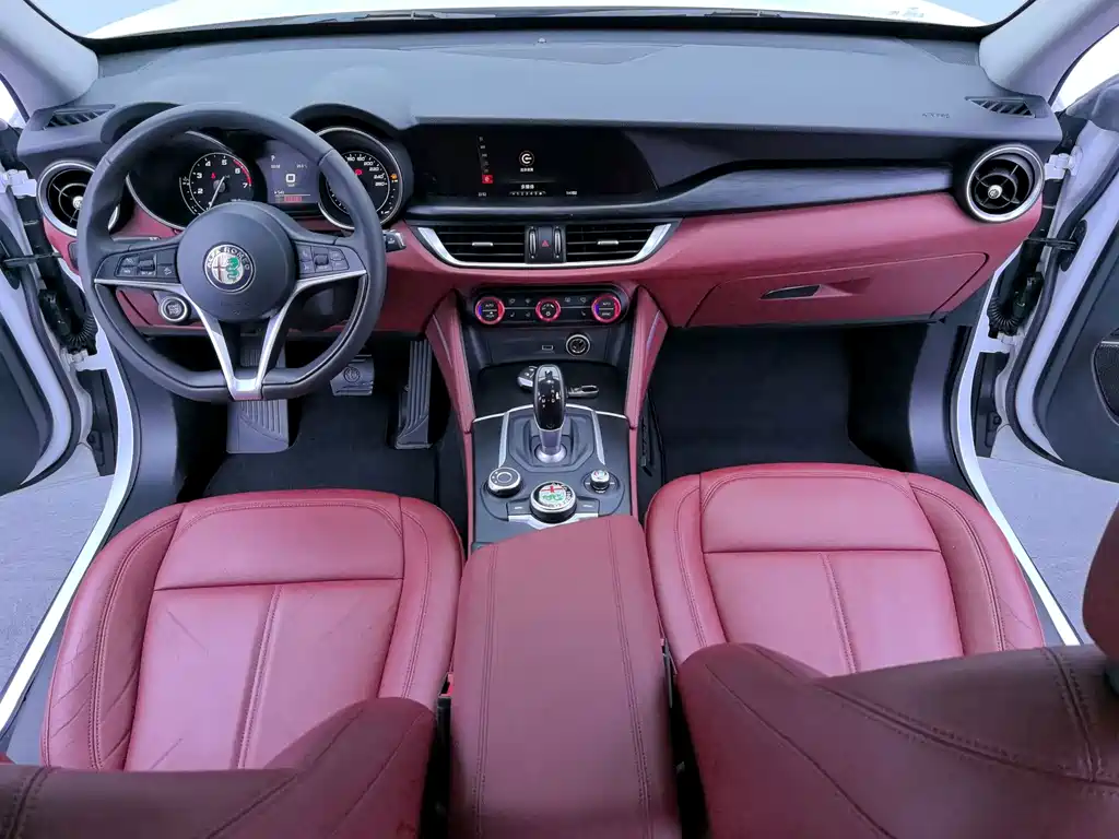 Alfa Romeo Stelvio 2019 — фото 8