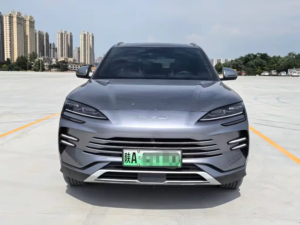 BYD PLUS New Energy 2024 — фото 2