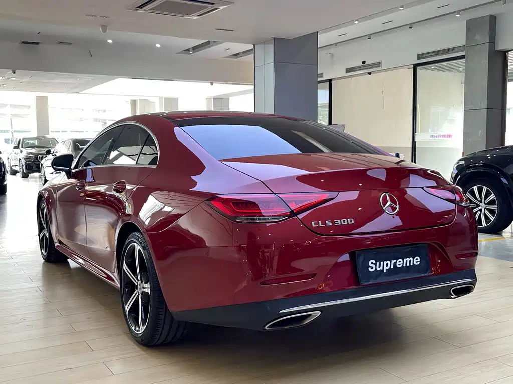 Mercedes-Benz CLS 2019 — фото 9