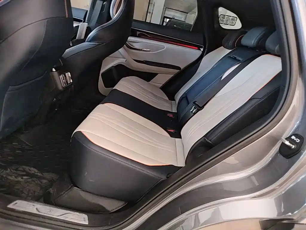 BYD PLUS New Energy 2023 — фото 17
