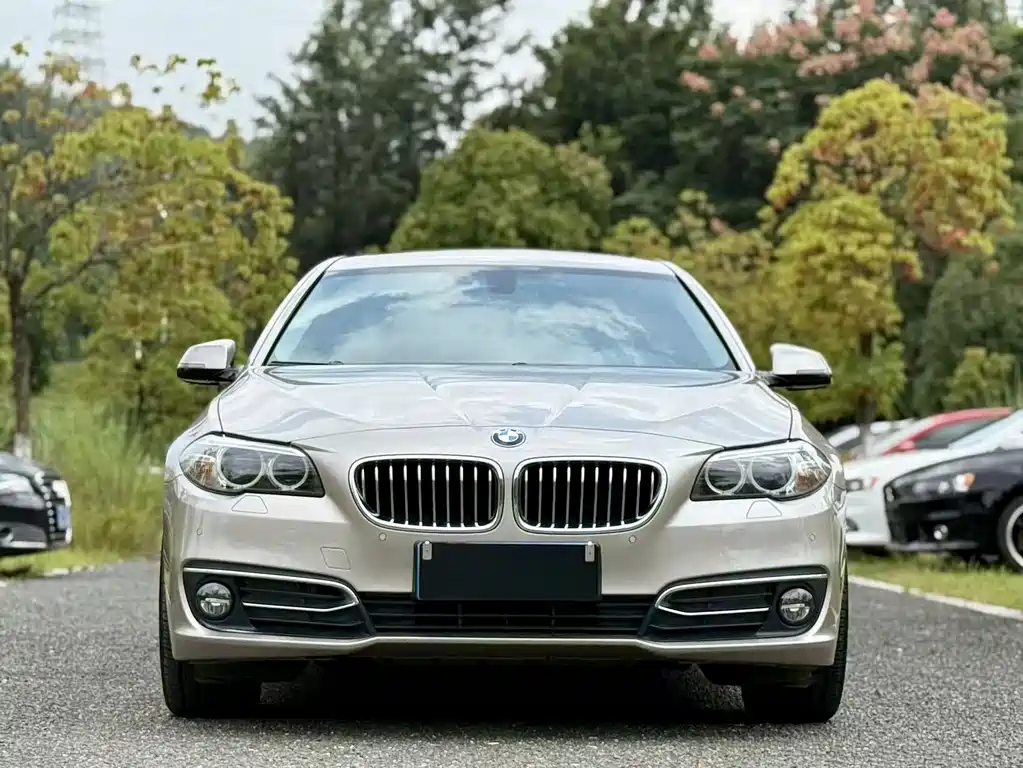 BMW 5 Series 2016 — фото 2