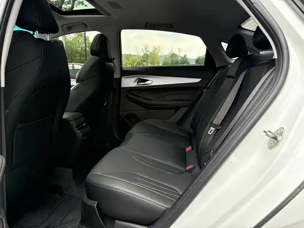 Geely Binrui 2025