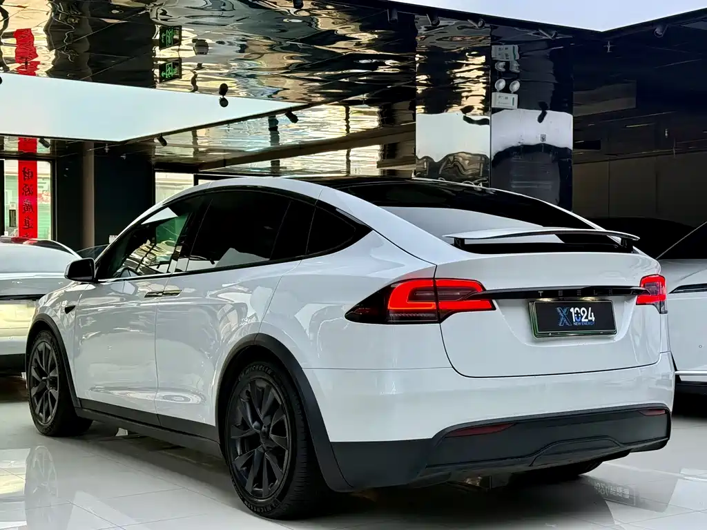 Tesla Model X 2023 — фото 18