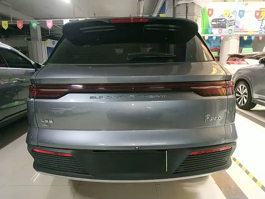 BYD Pro New Energy 2024 — фото 6
