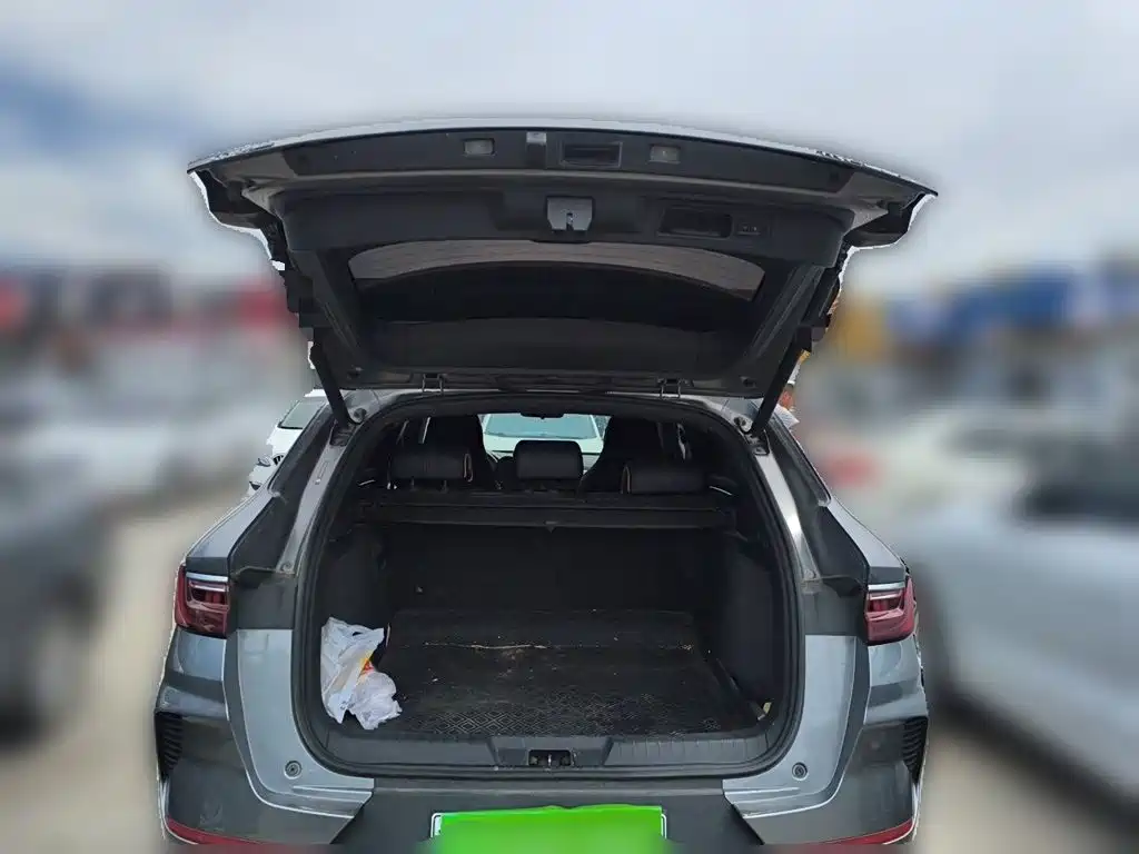 BYD Song PLUS New Energy 2022 — фото 10