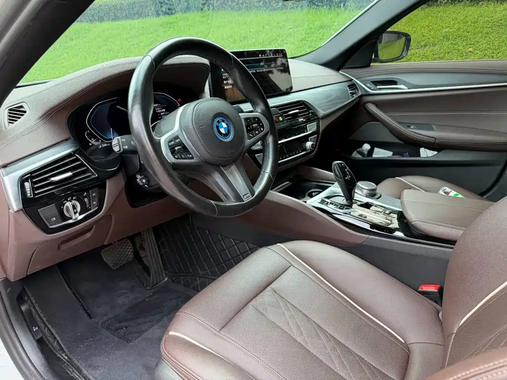 BMW 5 Series New Energy 2022