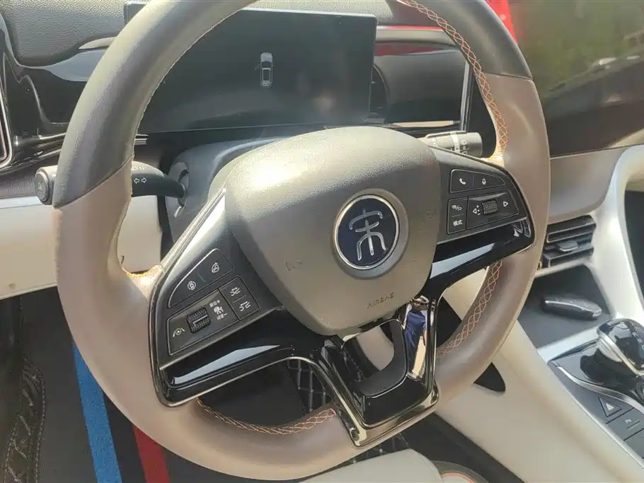 BYD Pro New Energy 2023 — фото 15