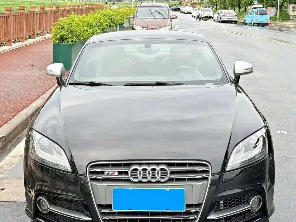 Audi TTS 2013
