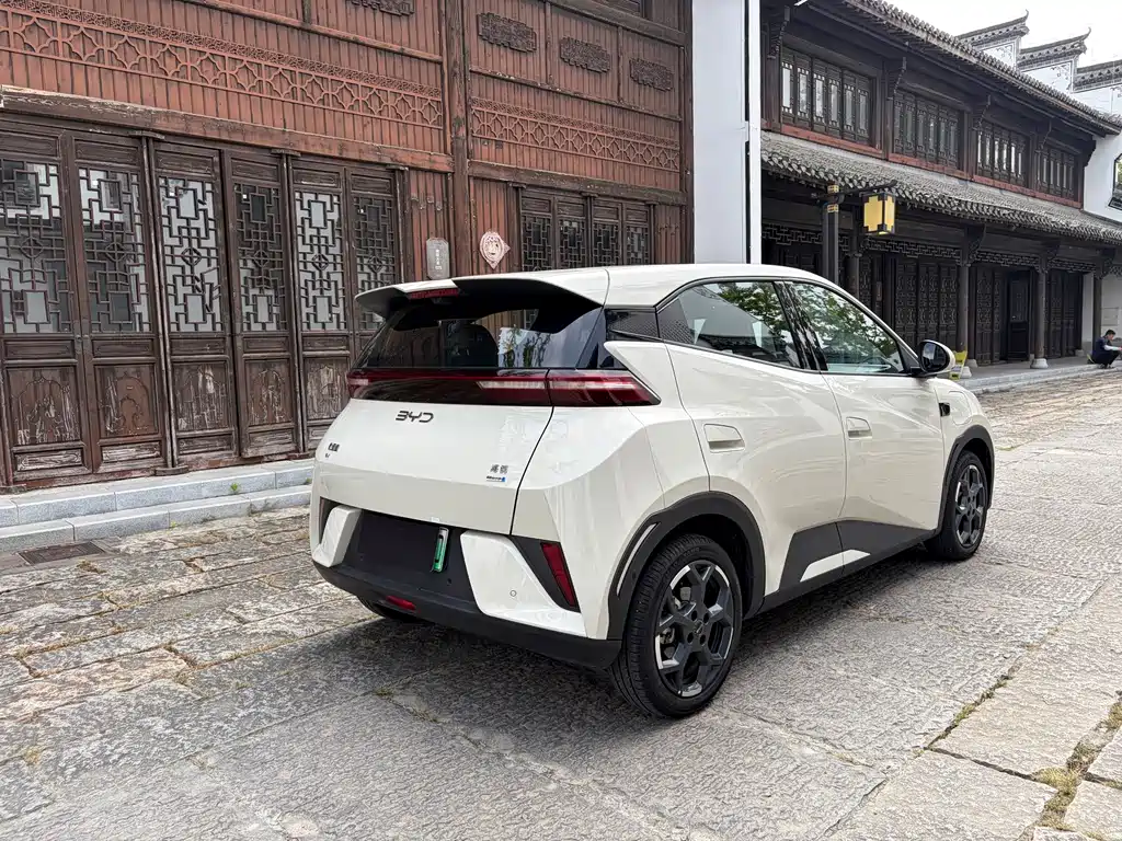 BYD Seagull 2025