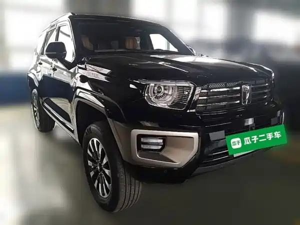 Tank 700 New Energy 2024
