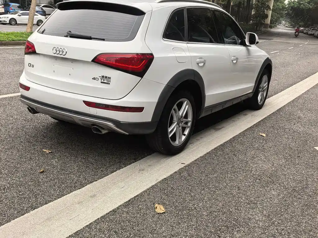 Audi Q5 2018 — фото 16