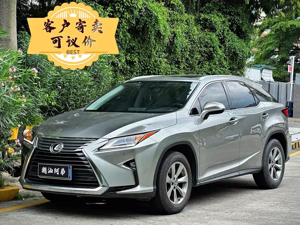 Lexus RX 2019 — фото 1