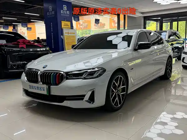 BMW 5 Series New Energy 2022
