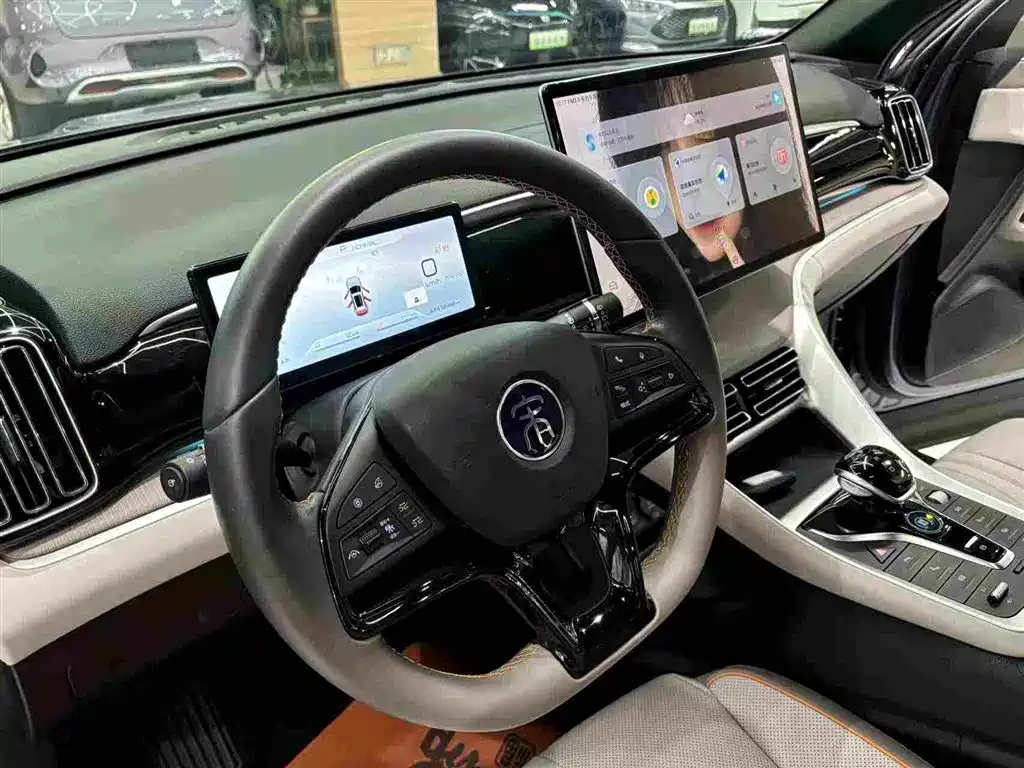 BYD Pro New Energy 2023 — фото 14