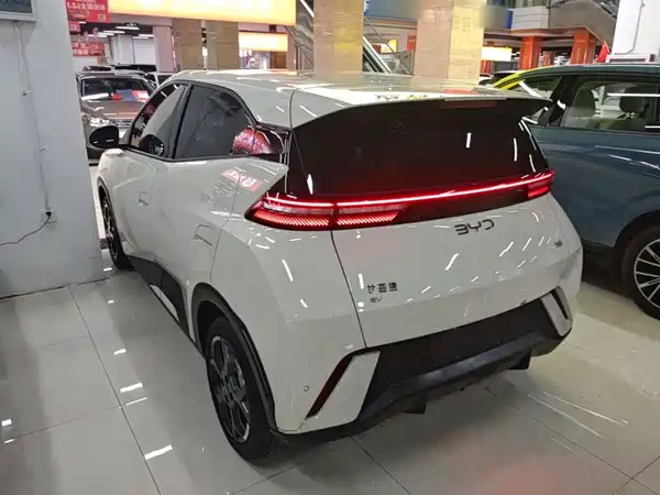 BYD Seagull 2024