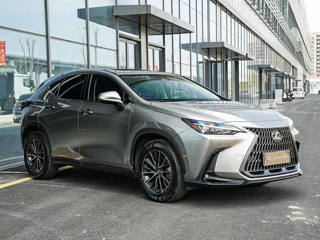 Lexus NX New Energy 2023 — фото 3
