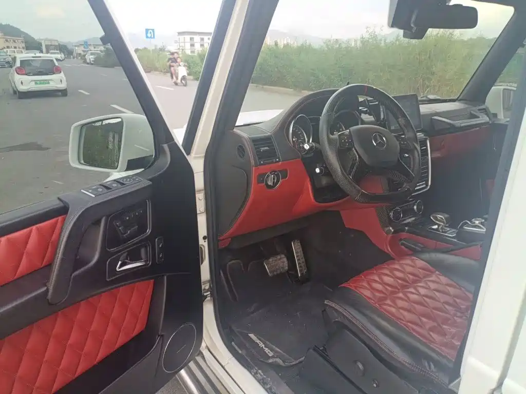 Mercedes-Benz G-Class 2017 — фото 14