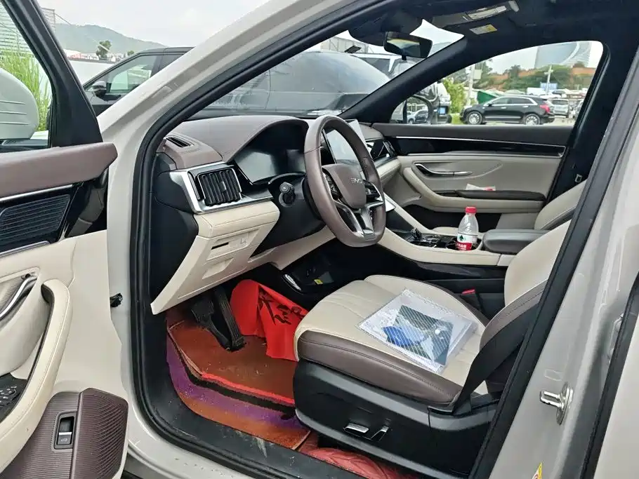 BYD Song PLUS New Energy 2025 — фото 9