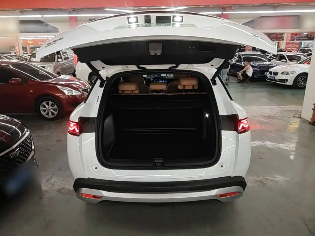 BYD L DM-i 2024 — фото 19