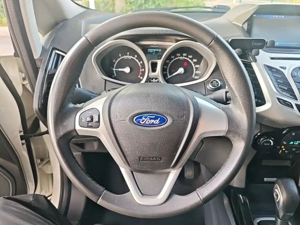 Ford Ecosport 2015 — фото 11