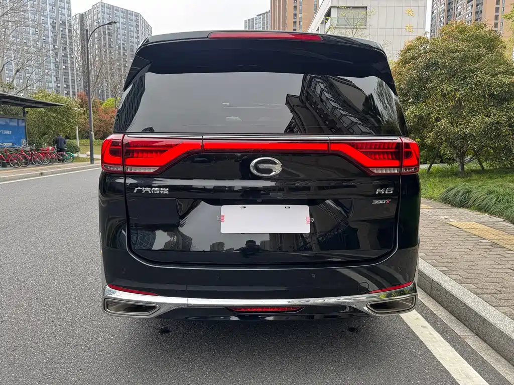 GAC Motor Trumpchi M8 2021 — фото 4