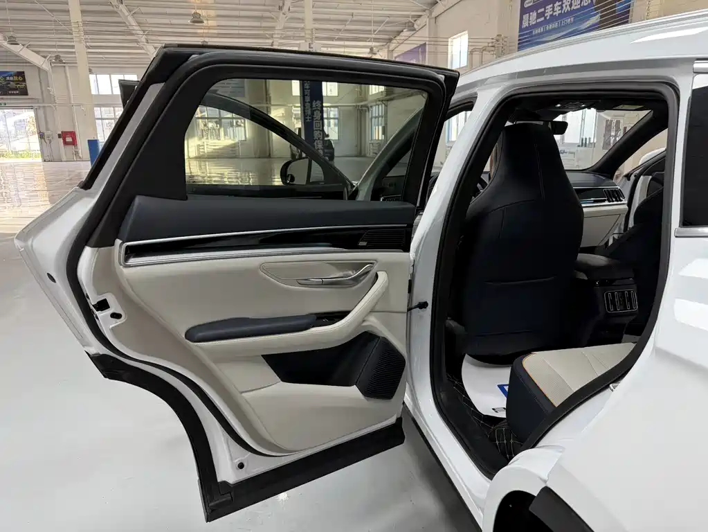 BYD PLUS New Energy 2022 — фото 12