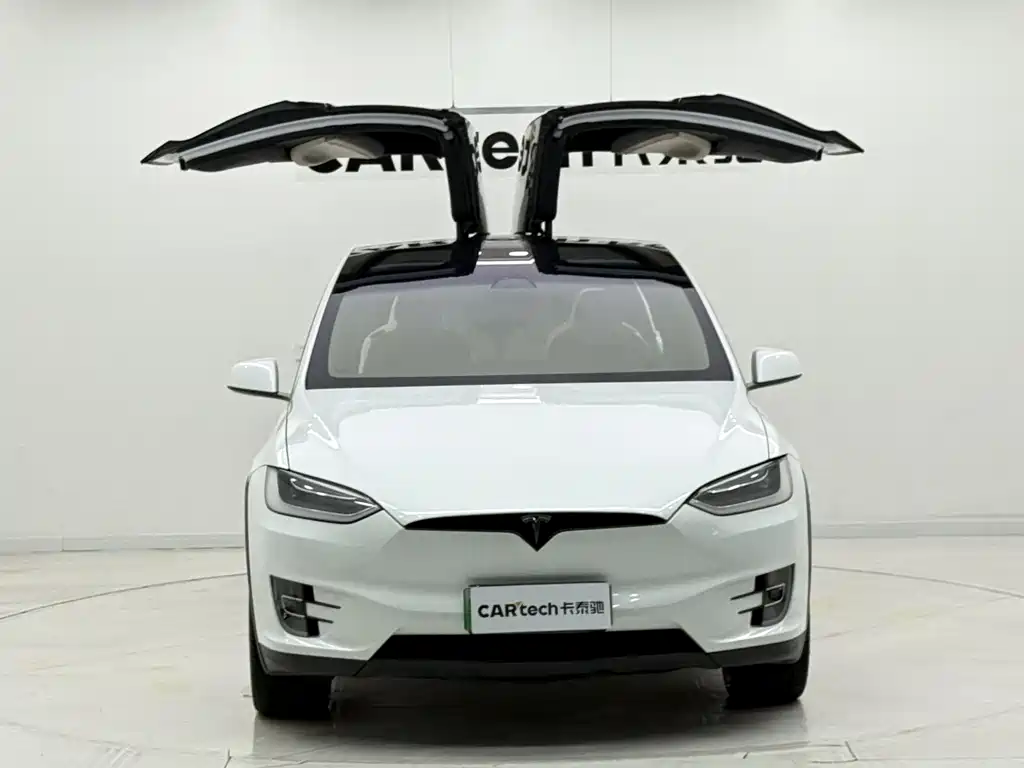 Tesla Model X 2019 — фото 7