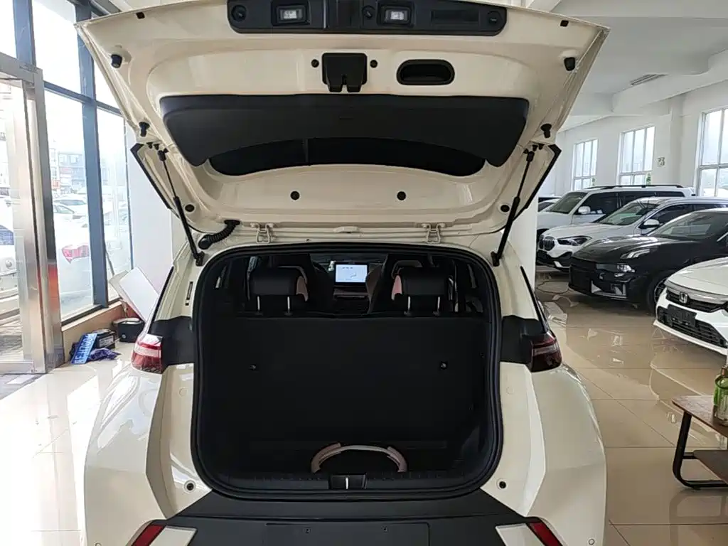 BYD Seagull 2024 — фото 19