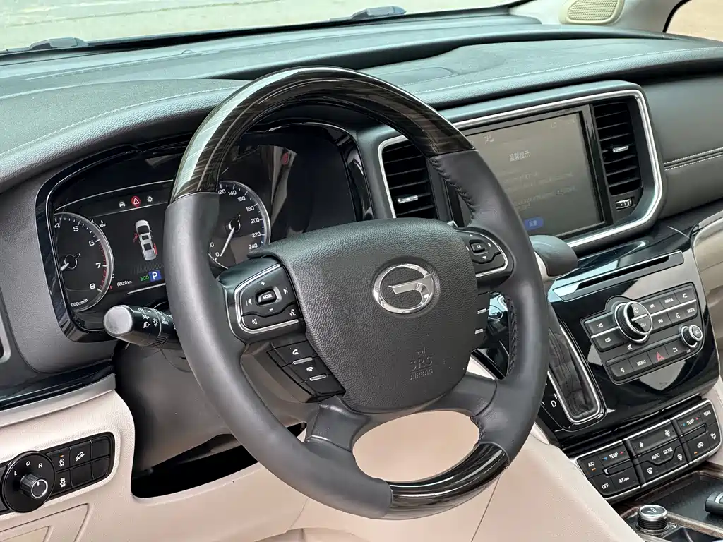 GAC Trumpchi M8 2018 — фото 13