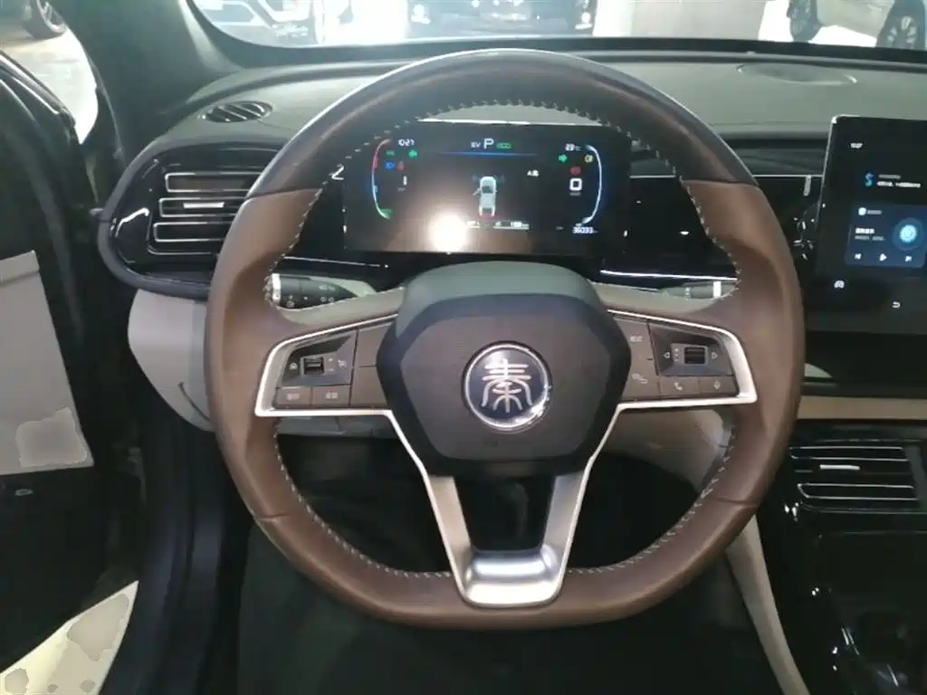 BYD Qin PLUS 2024 — фото 11