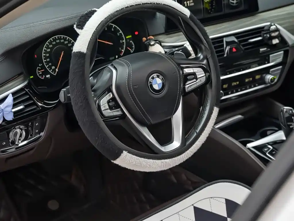 BMW 5 Series 2019 — фото 7