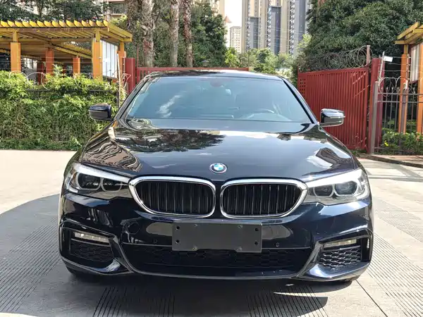 BMW 5 Series 2019