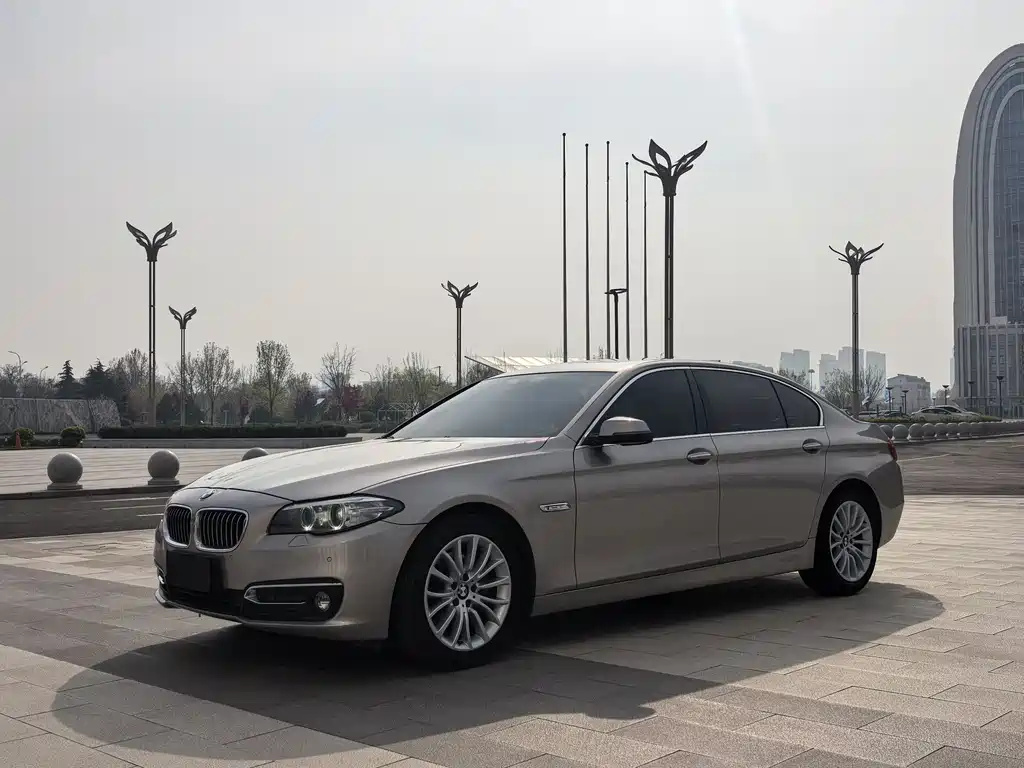 BMW 5 Series 2016 — фото 1