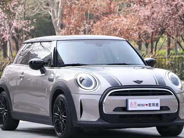 MINI MINI 2023