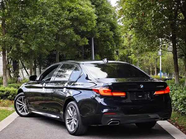 BMW 5 Series 2019