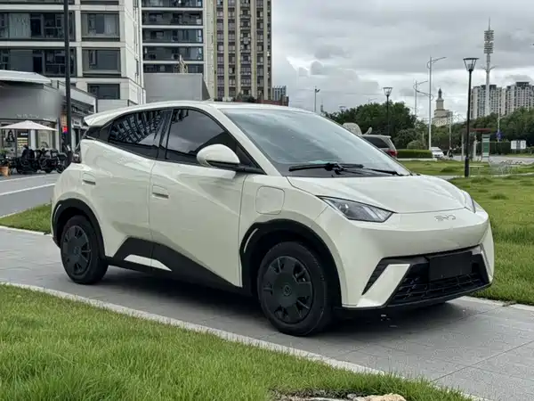 BYD Seagull 2025