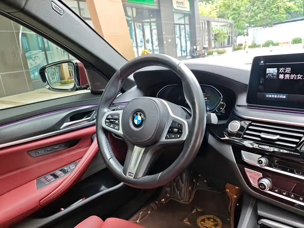 BMW 5 Series New Energy 2021 — фото 10