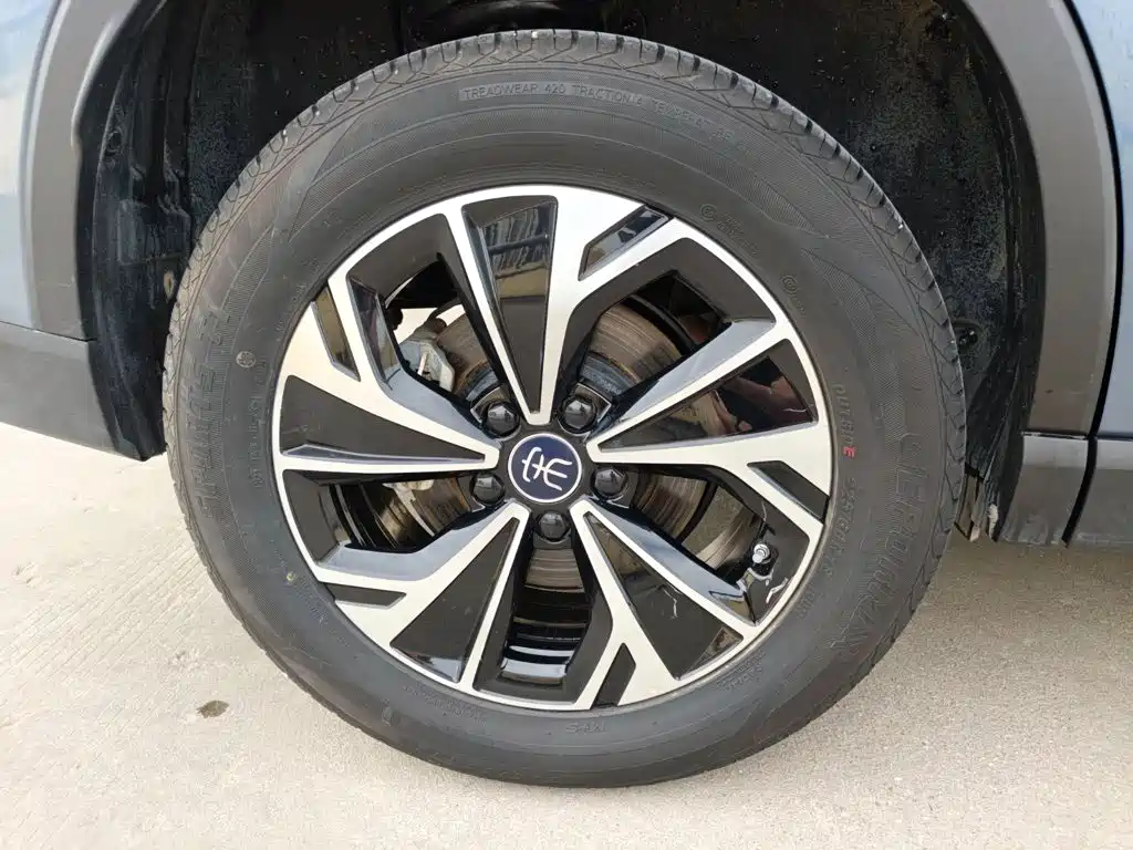 BYD Song Pro New Energy 2024 — фото 11