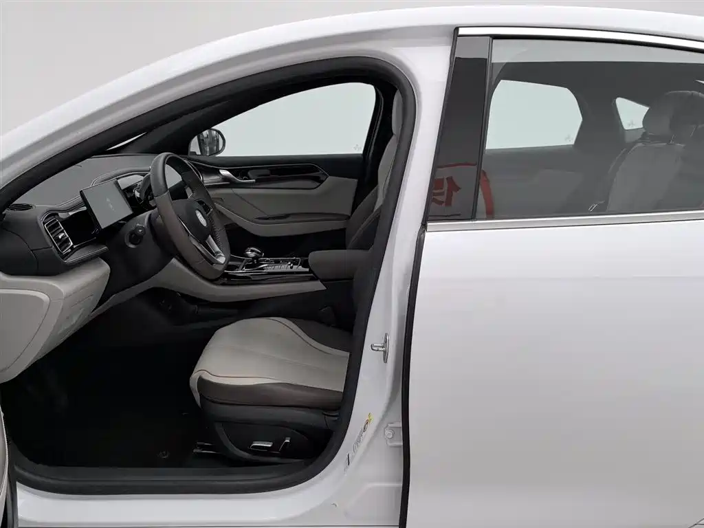 BYD Qin PLUS 2023 — фото 10