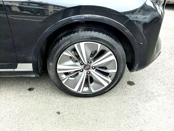 Hongqi E-HS9 2021