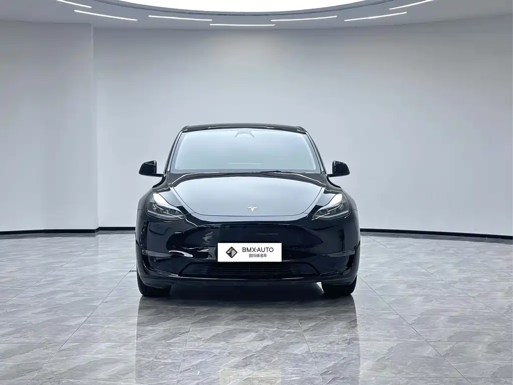 Tesla Model Y 2023 — фото 2