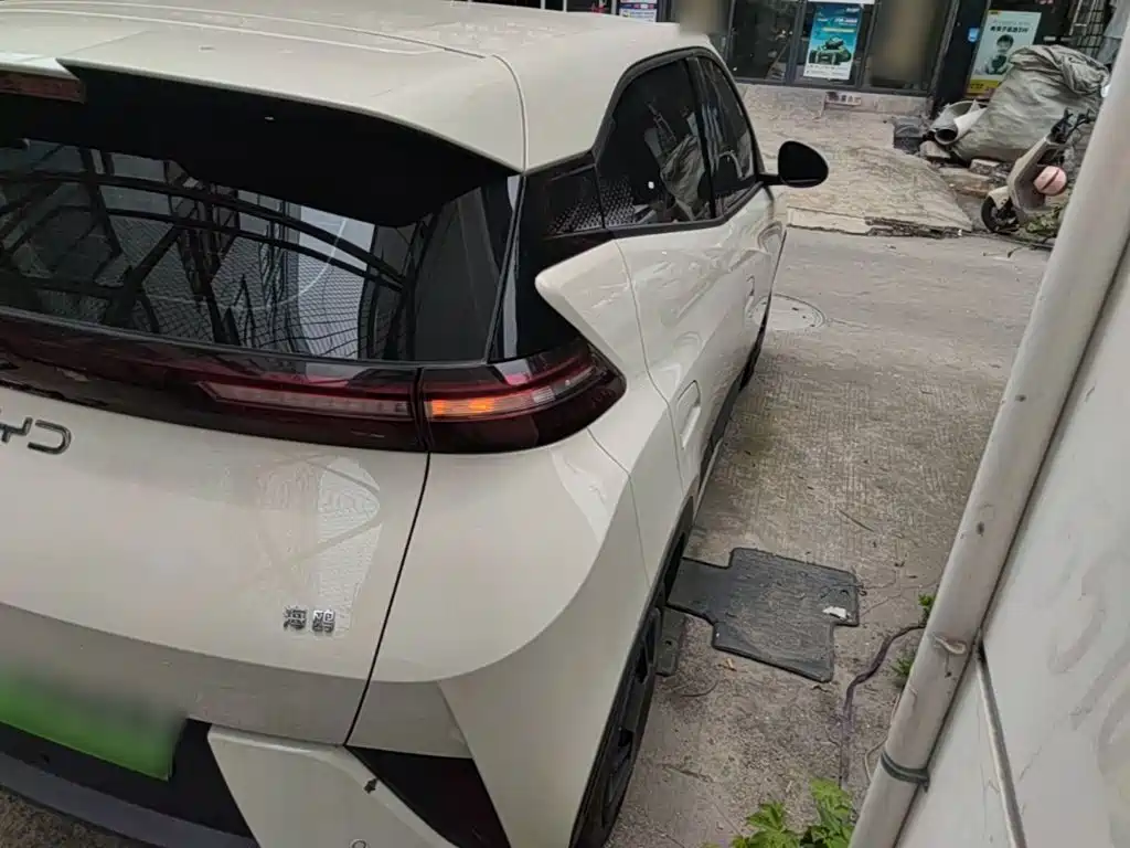 BYD Seagull 2025