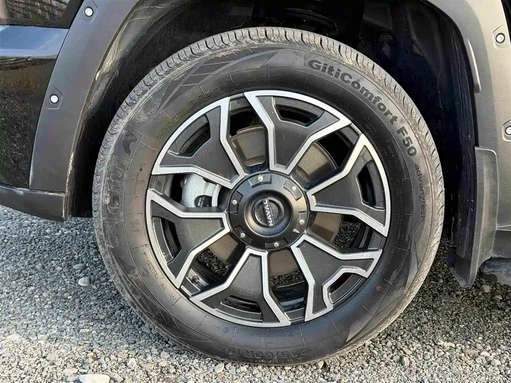 Haval Big Dog PLUS New Energy 2023 — фото 14