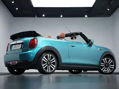 MINI MINI 2020