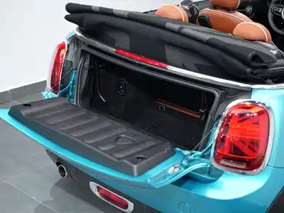 MINI MINI 2020