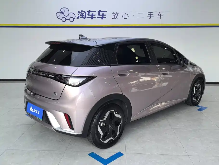 BYD Dolphin 2022